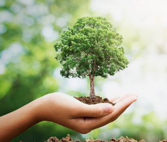 Eventos sustentáveis: conheça dicas para adotar boas práticas ambientais nas produções